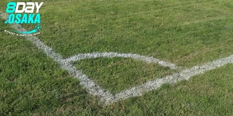 Bật mí kinh nghiệm soi kèo phạt góc bách chiến bách thắng