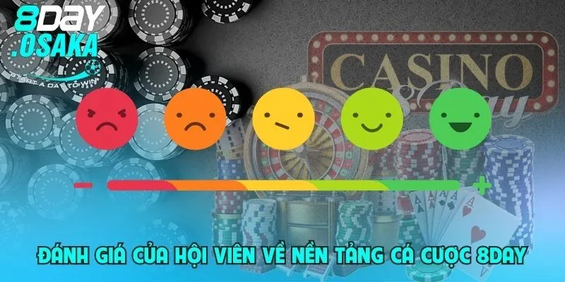 Đánh giá của hội viên về nền tảng cá cược 8day