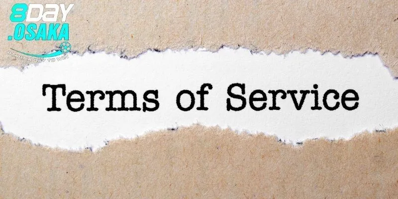 Điều khoản dịch vụ 8day là gì?